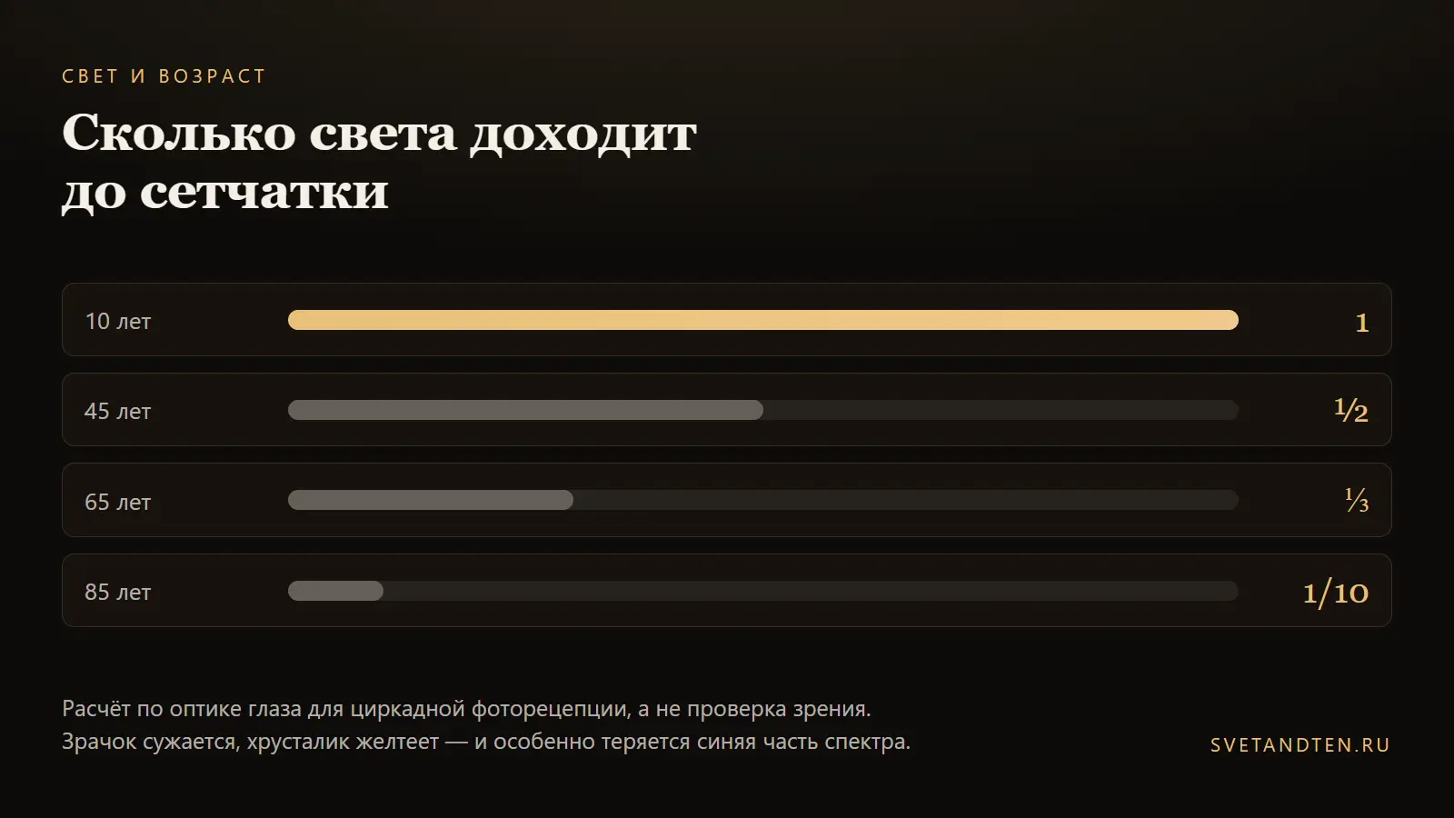 Схема: сколько света доходит до сетчатки в разном возрасте